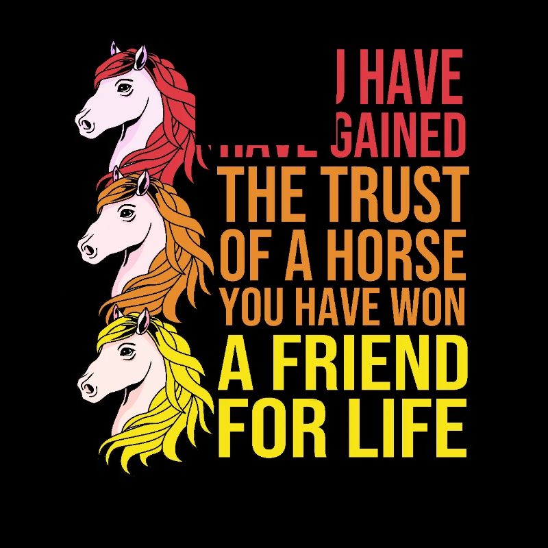 Springreiten Springpferd