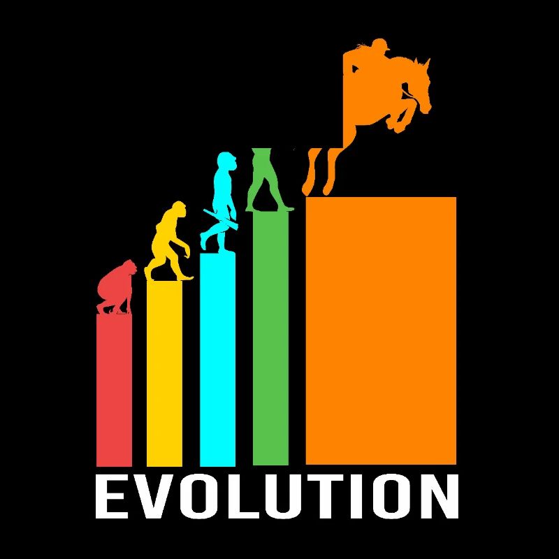 Springreiten Springpferd