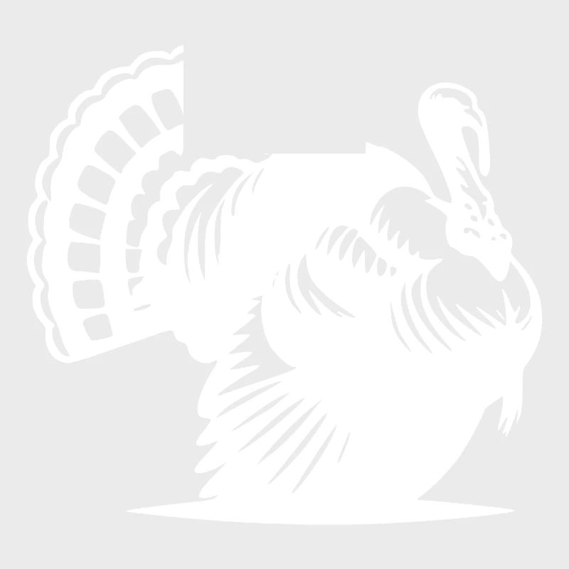 Huge fat turkey with feathers feathers