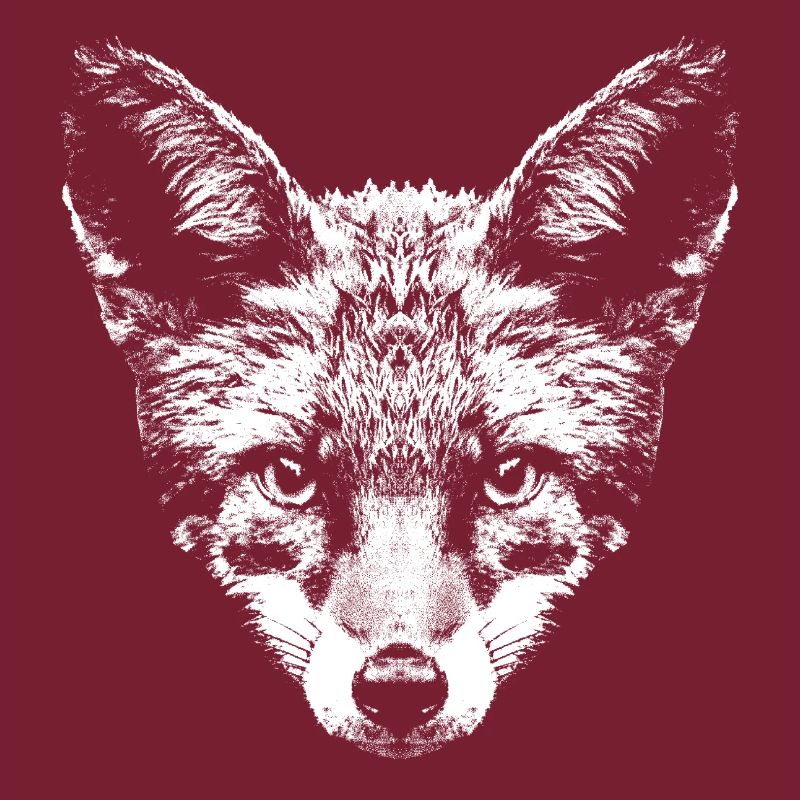 Fox / Fox / Head / Red Fox