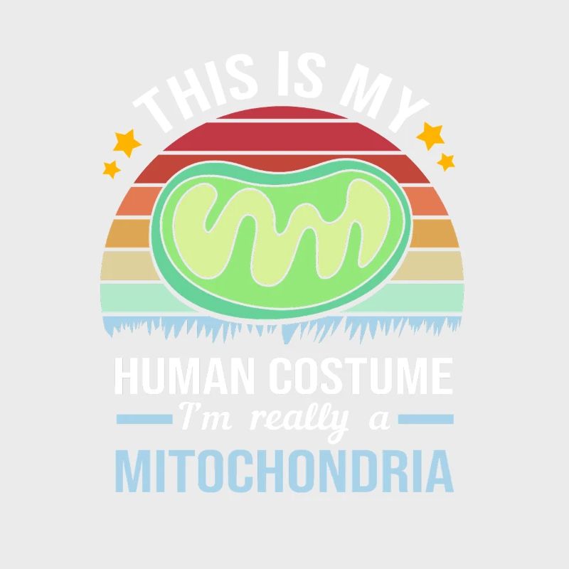 Formule structurelle de la molécule