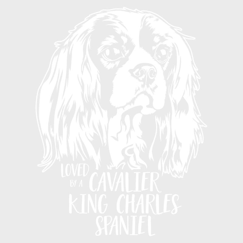 Aimé par un Cavalier King Charles Spaniel Wilsigns