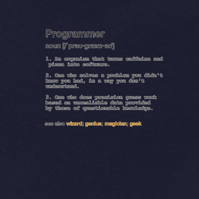 Programmer