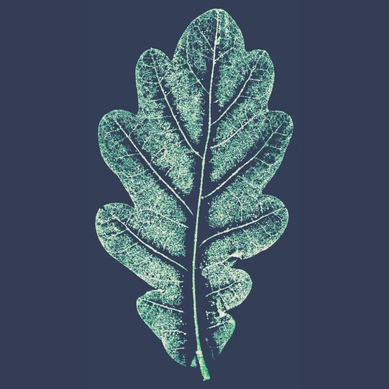 Oak Leaf - Light Natural Green - Leaf/ Oak/ Tree