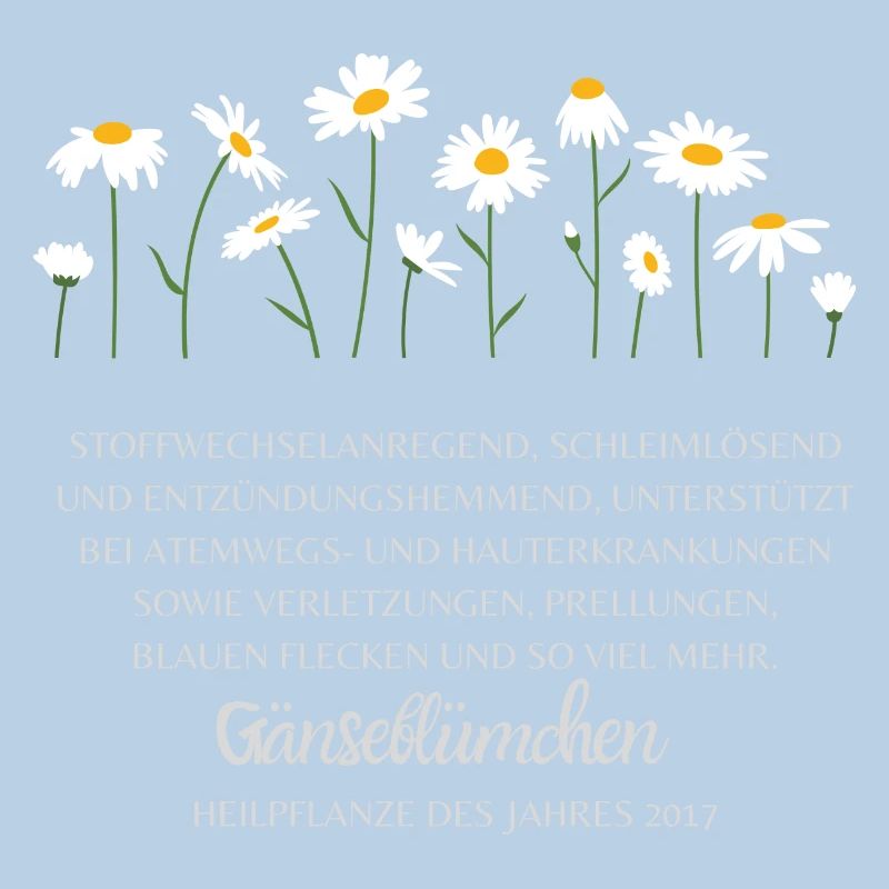 Gänseblümchen