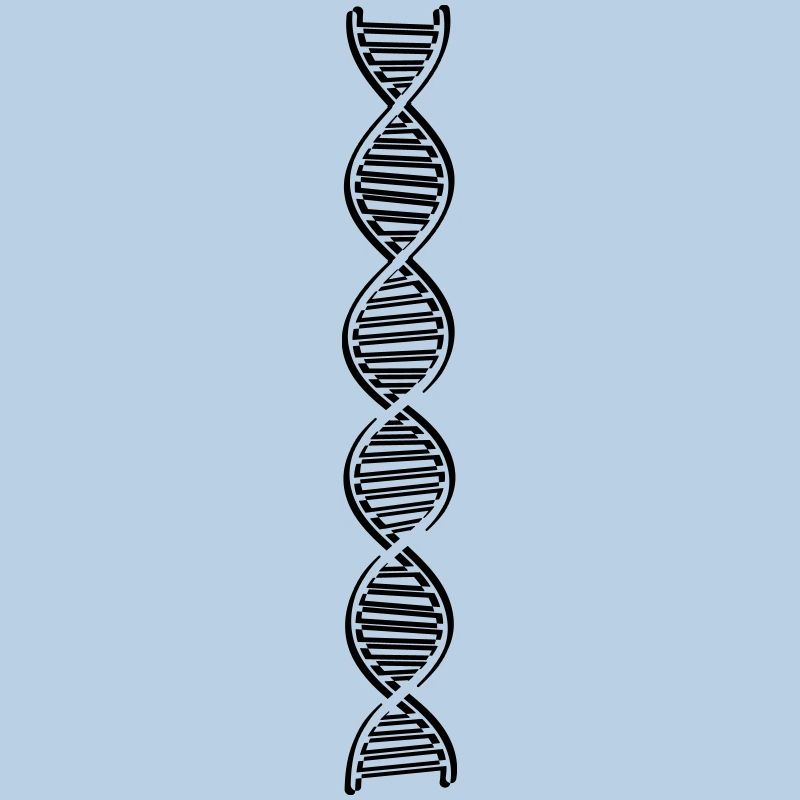 research dna dns genome gene science knowledge c