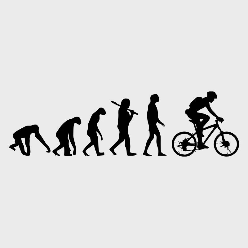 FAHRRAD EVOLUTION