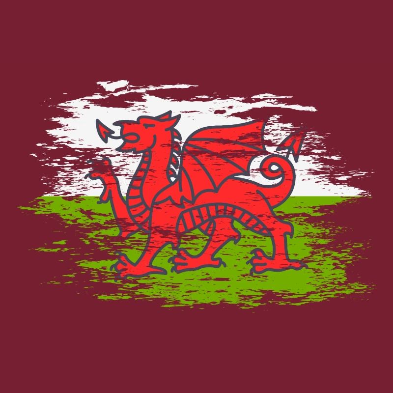 Drapeau du Pays de Galles utilisé