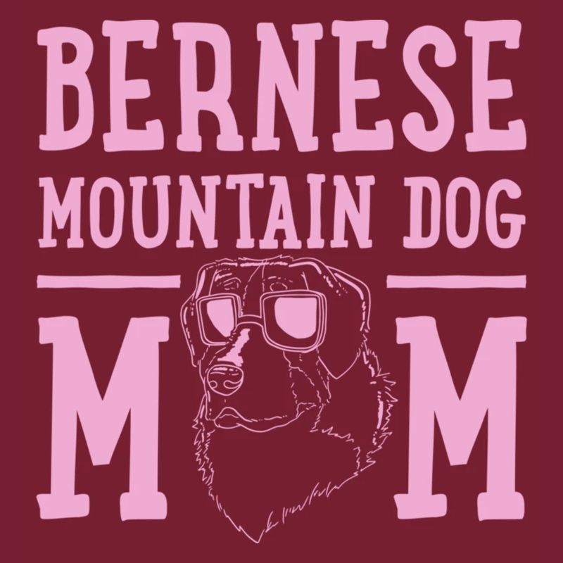 Berner Sennenhundmutter