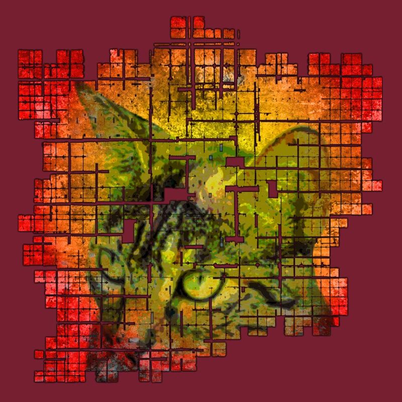 Chat coloré
