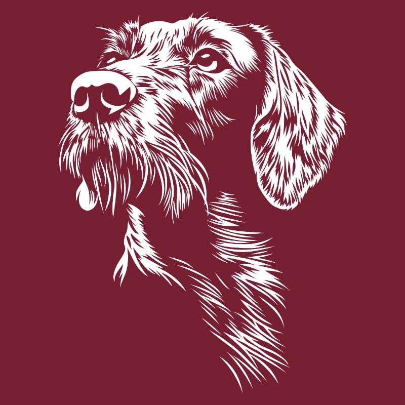 Deutsch Drahthaar Portrait Hunde Jagdhund