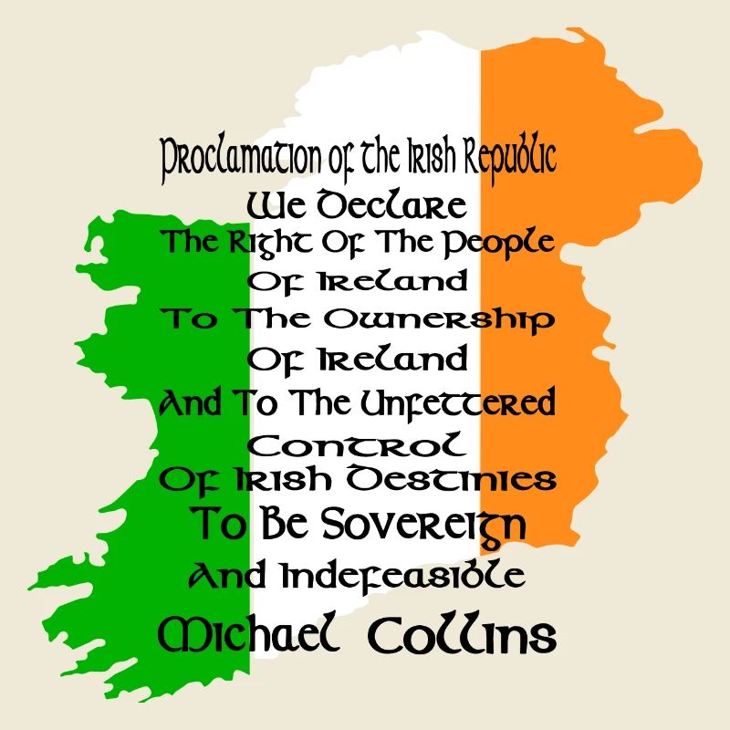 Irish constitution support