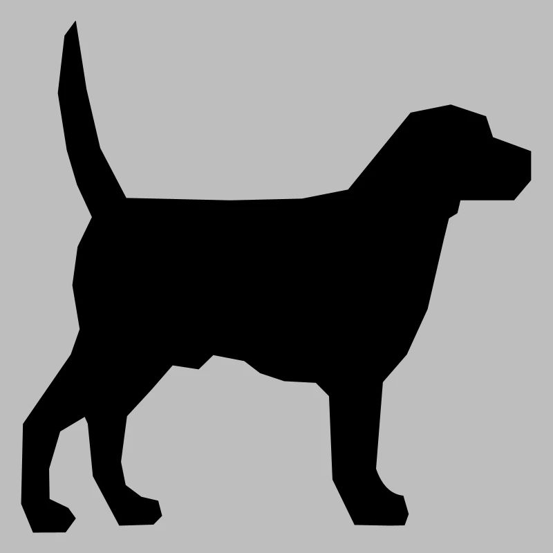 chien