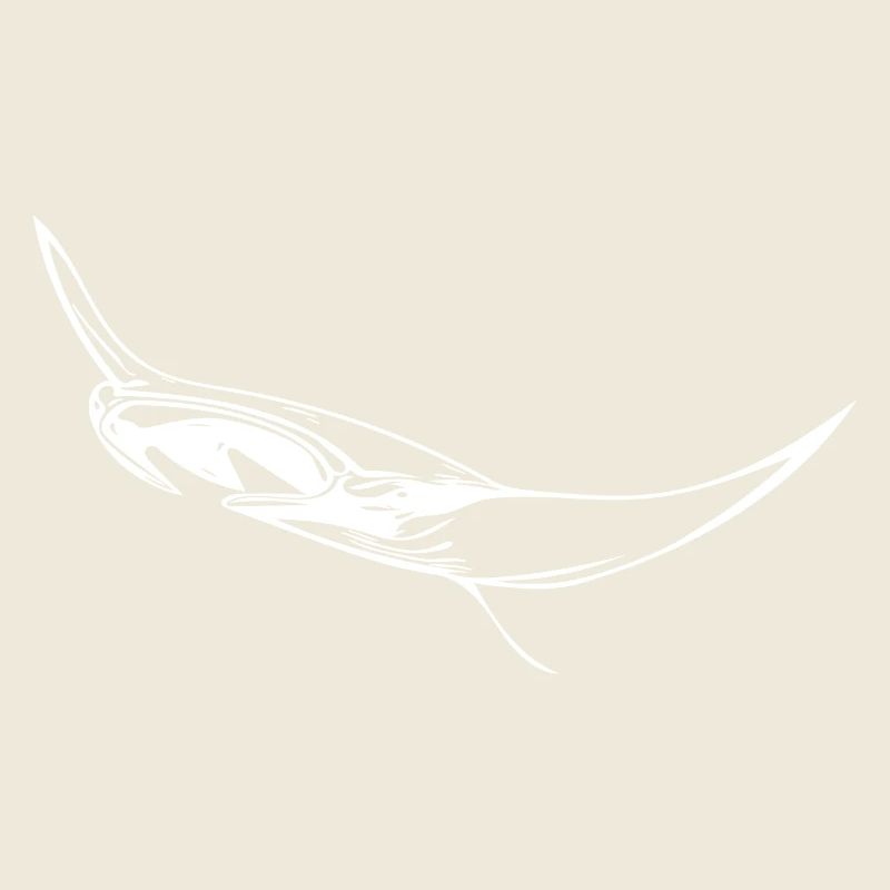 Eleganter schwimmender Mantarochen