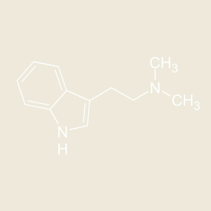 DMT Dimethyltryptamin Strukturformel