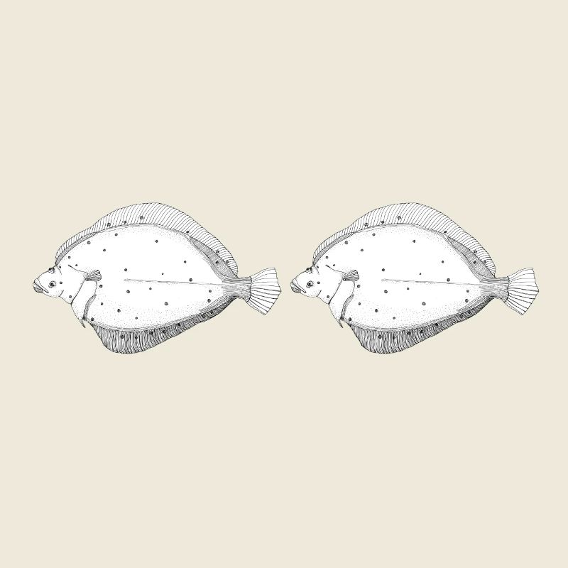 Scholle Panorama Becher