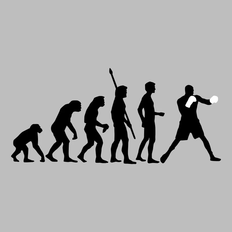 evolution_boxen_b_2c