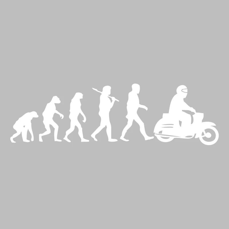 schwalbenevolution