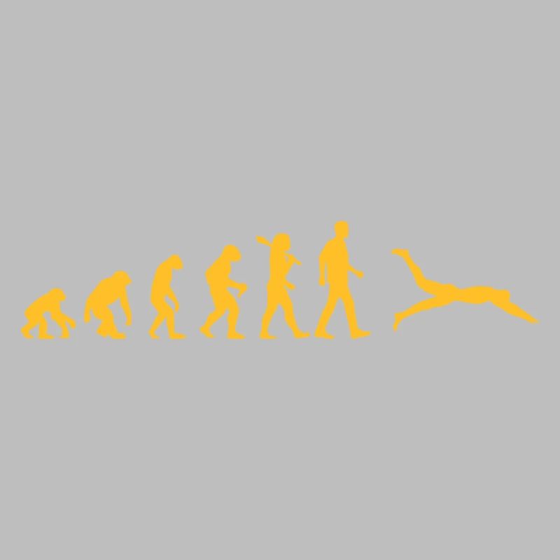 Schwimmer Evolution