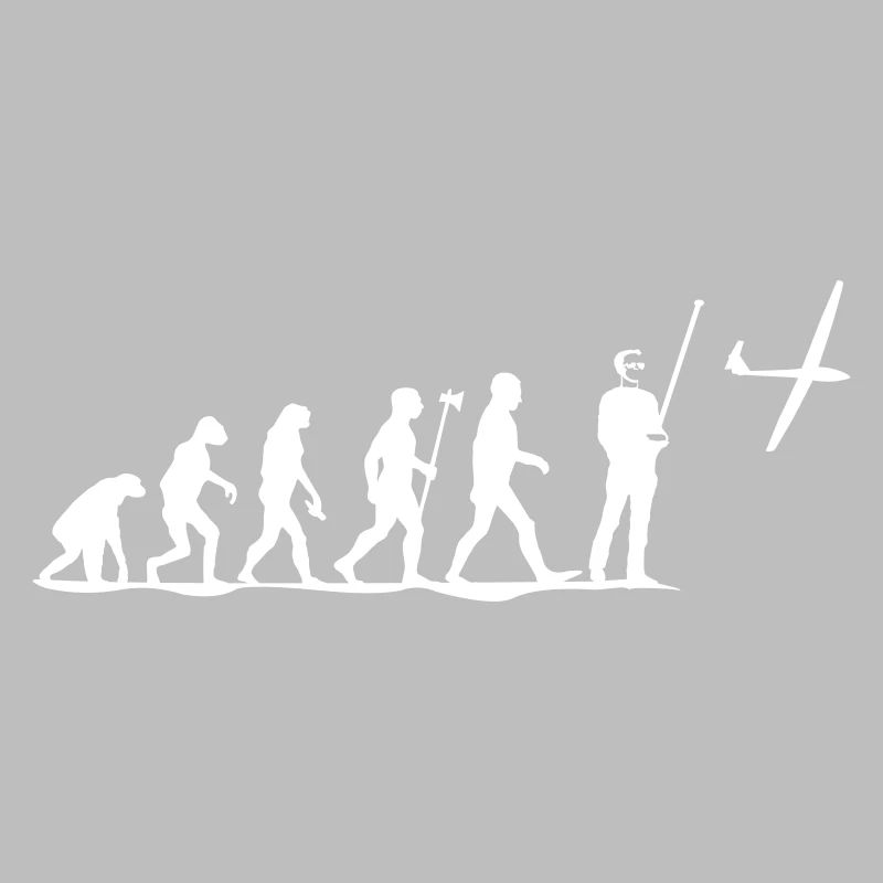 evolution modellfliegen