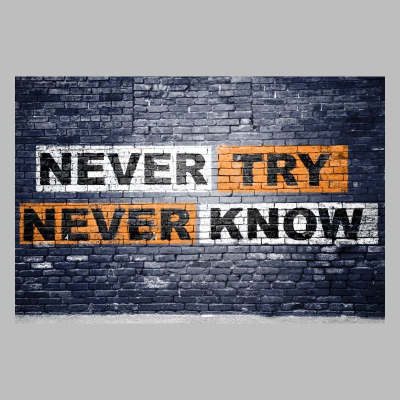 Never Try never know Ziegelsteinmauer Motivation