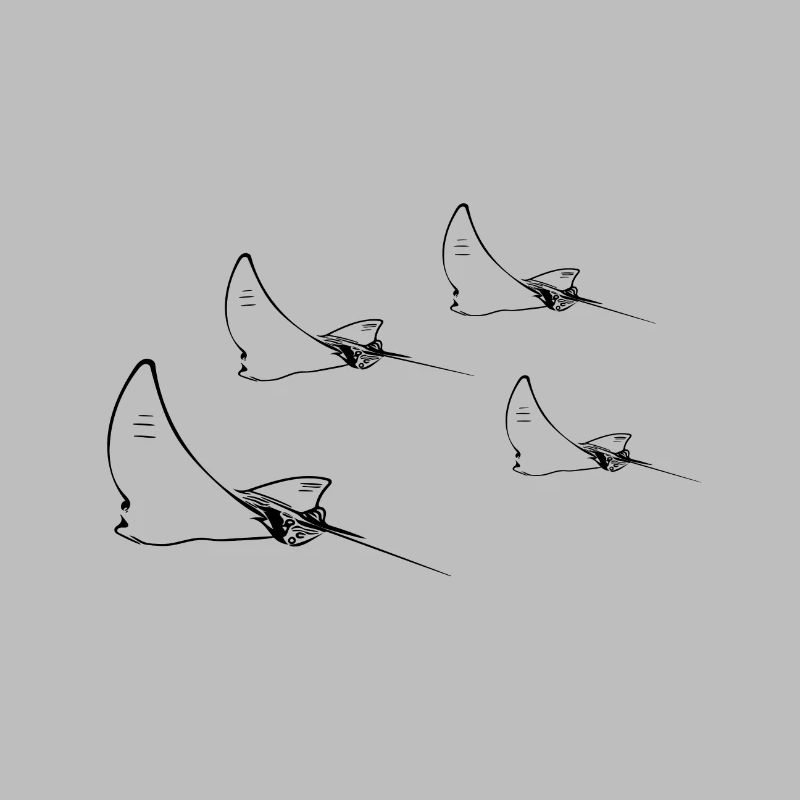 Formation de vol Eagle Ray
