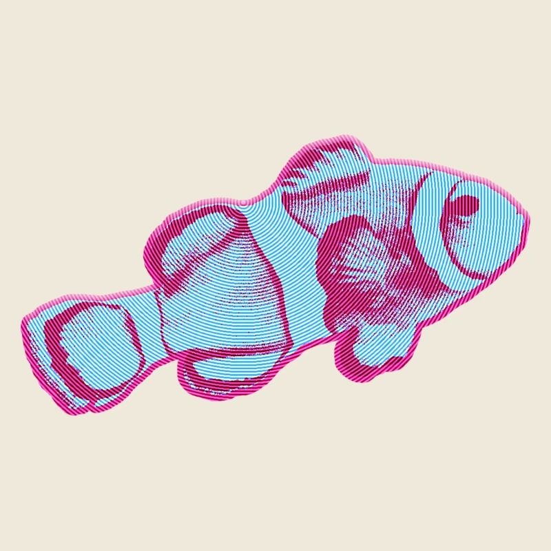 Conception de poisson KapaKala