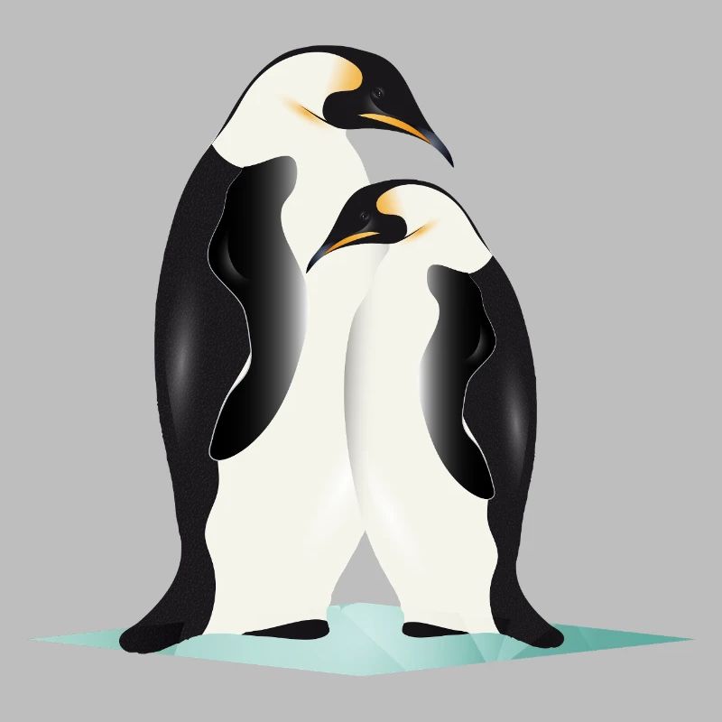 Two elegantly drawn penguins