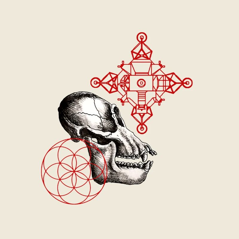 lunar australpithecus