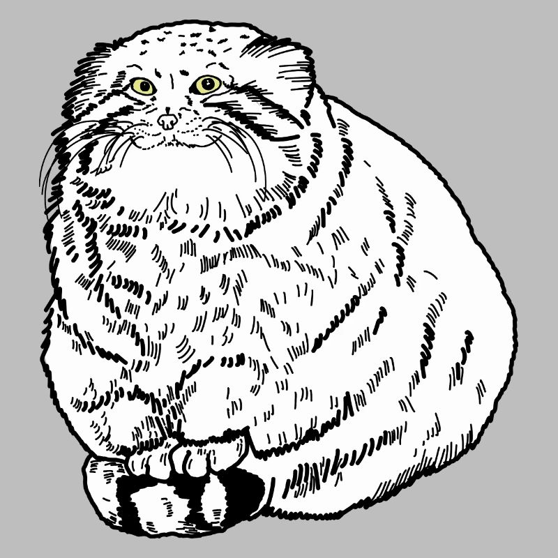 Dicke Katze