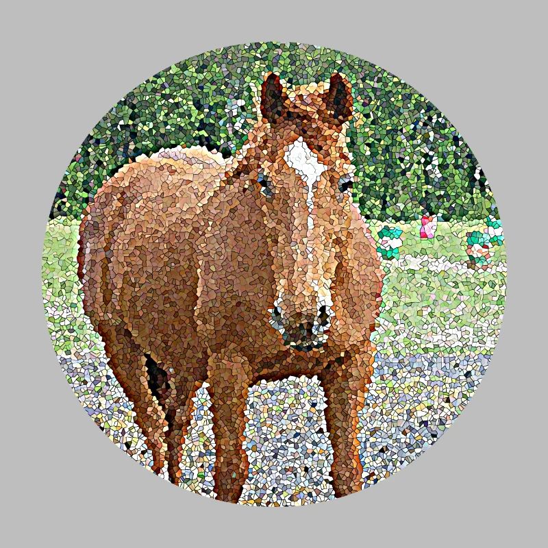 Die Liebe einer Stute