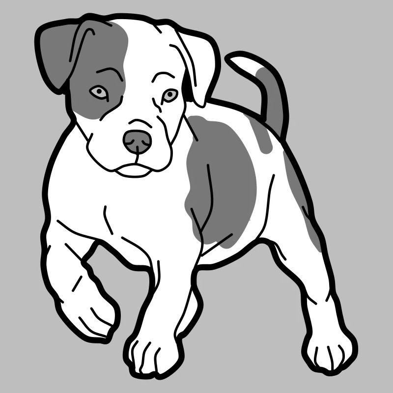 hund