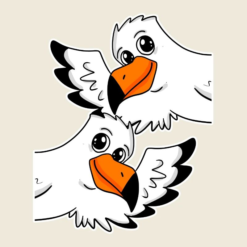 Möwe Möwen