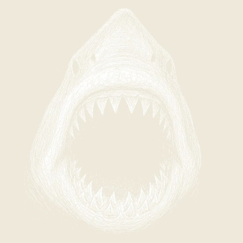 Great white shark