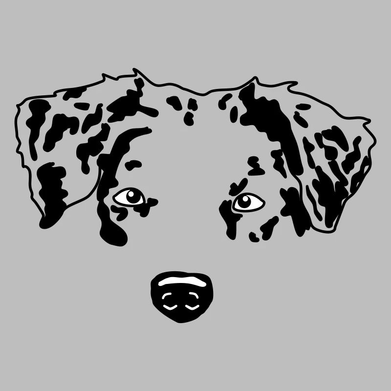 minimal Australian Shepherd Aussie dog