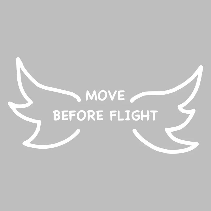 iYpsilon MOVE BEFORE FLIGHT