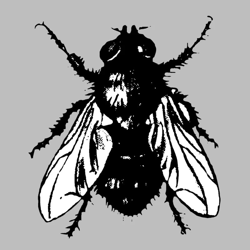 Fliege