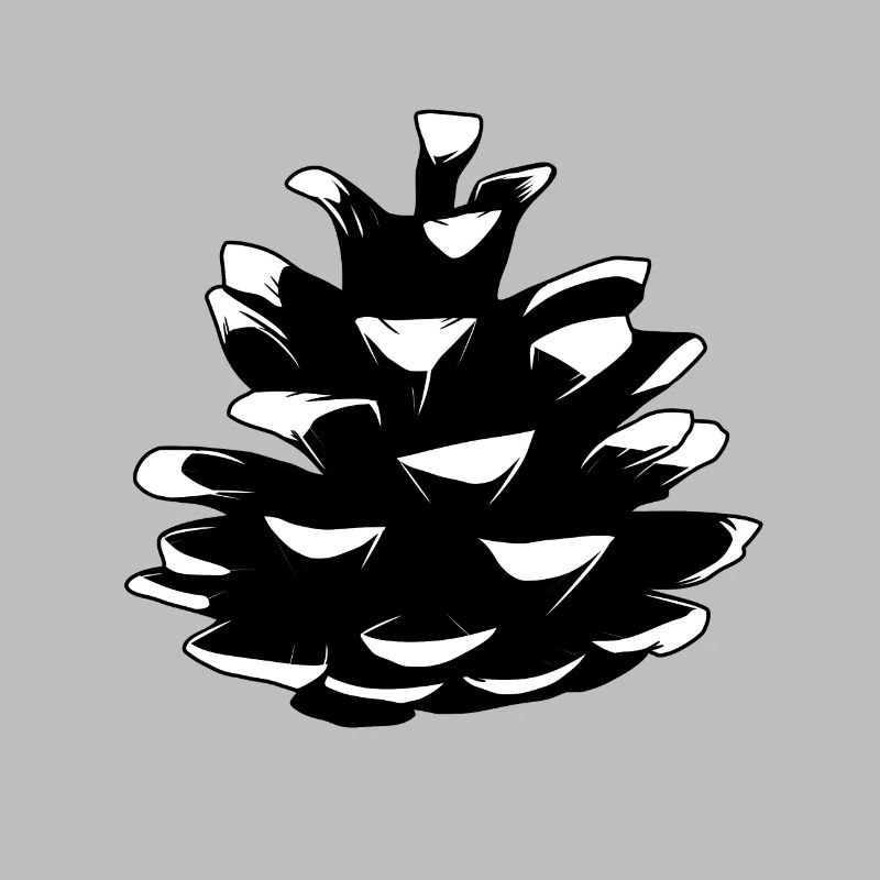 Pine pine cones Pine cones Forest Natural tree