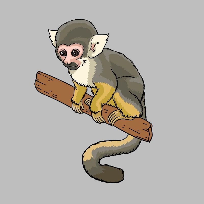 Squirrel monkey squirrel monkey primate