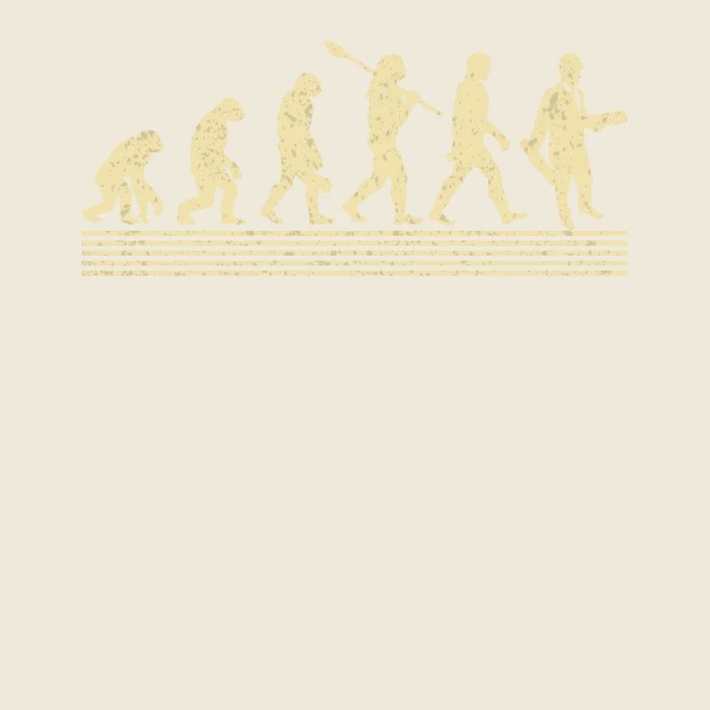 Évolution de l’architecte