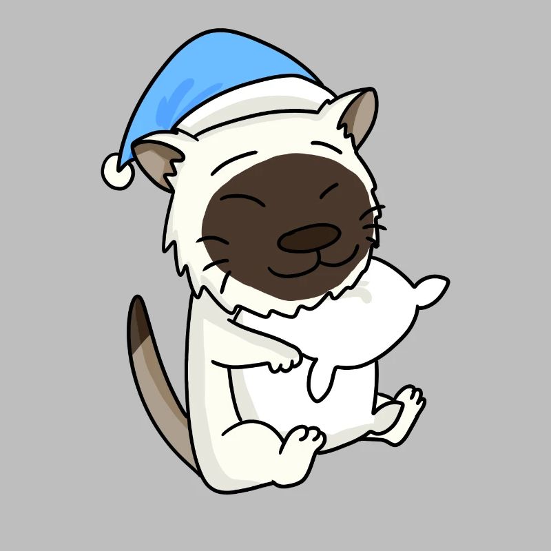Chat race de chat Birmanie