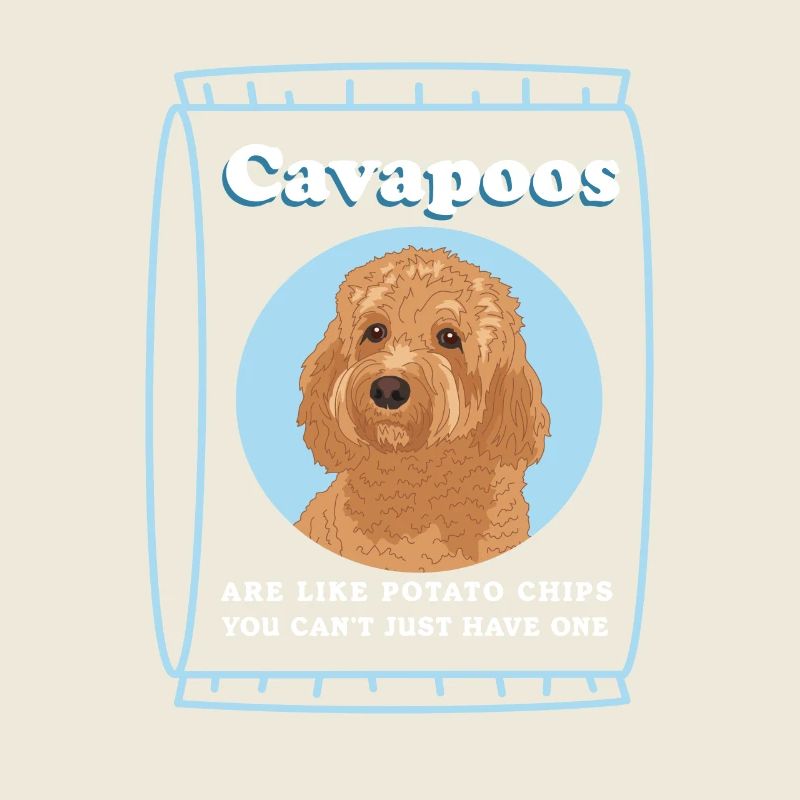 Cavapoo Hund | Cavoodle Hundebesitzer Geschenk