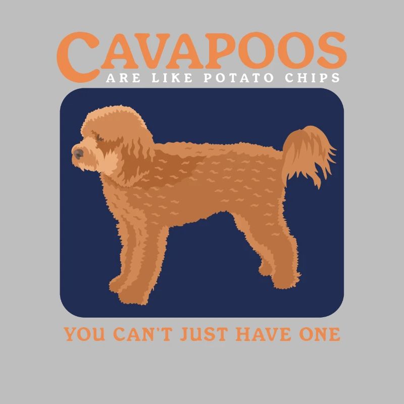 Cavapoo Hunde Cavoodle Hundebesitzer Geschenk