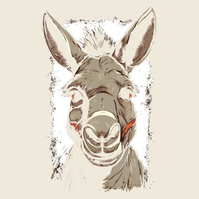 Esel Eselchen Maultier Muli