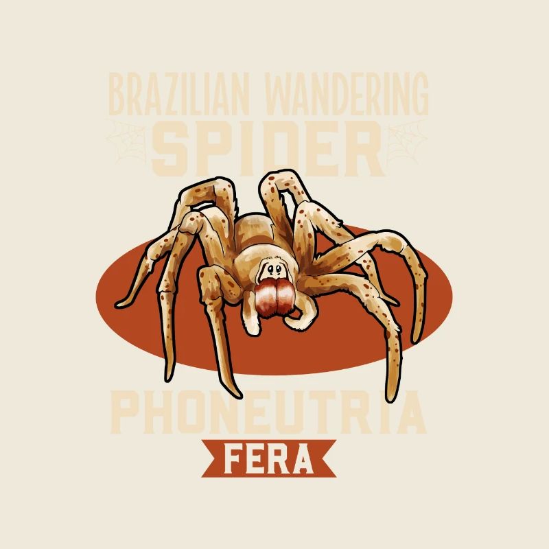 Araignée errante brésilienne