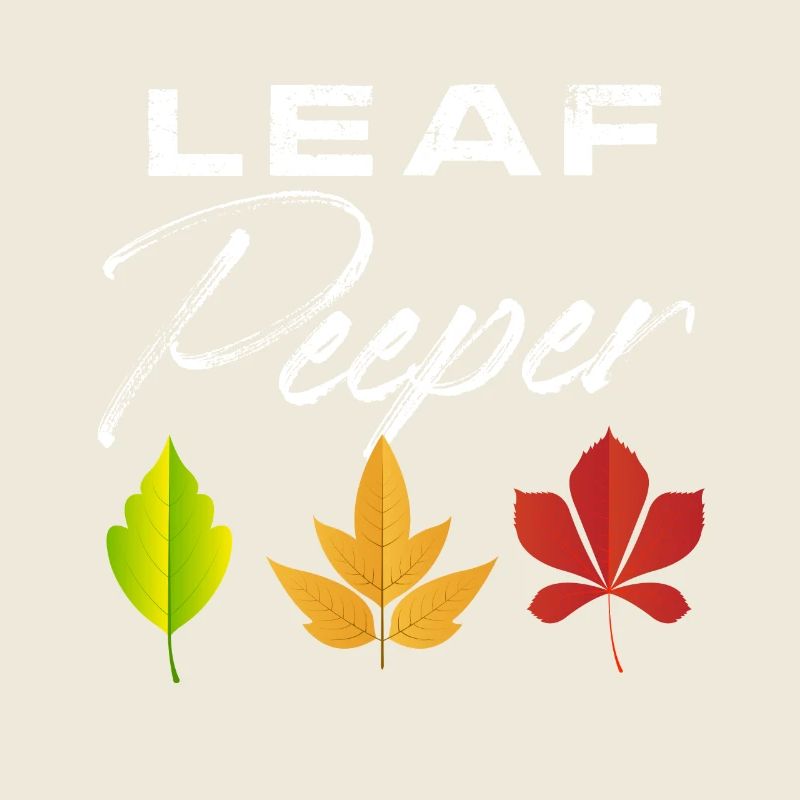 Leaf Peeper Automne saison Peeping feuilles
