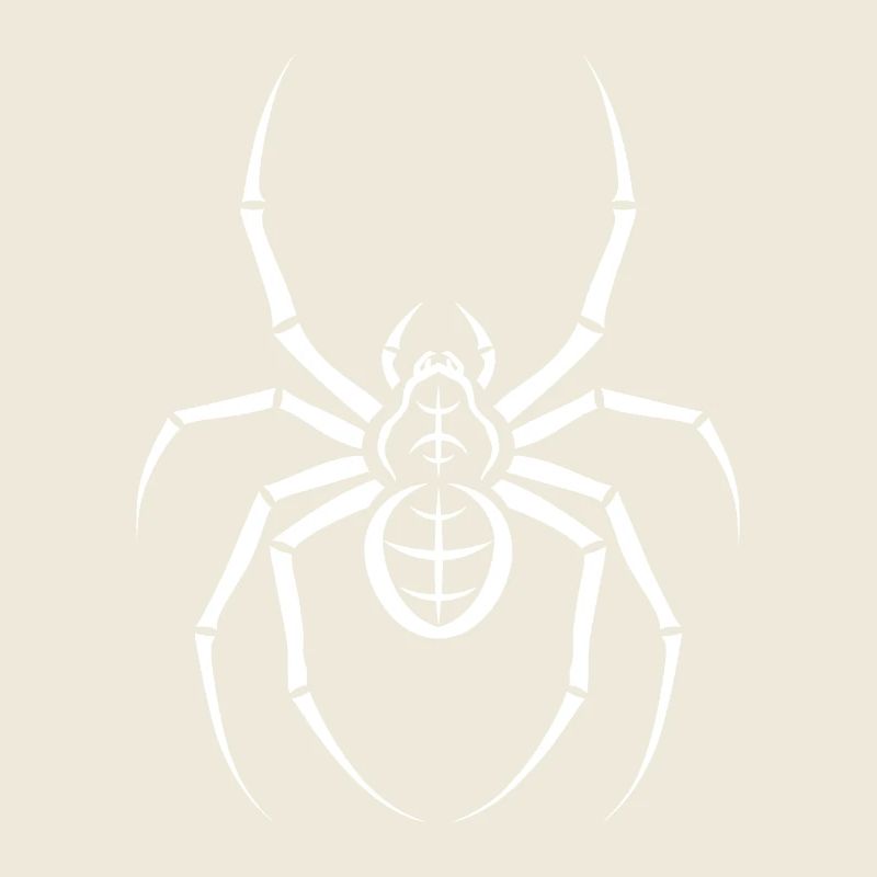 Spinne