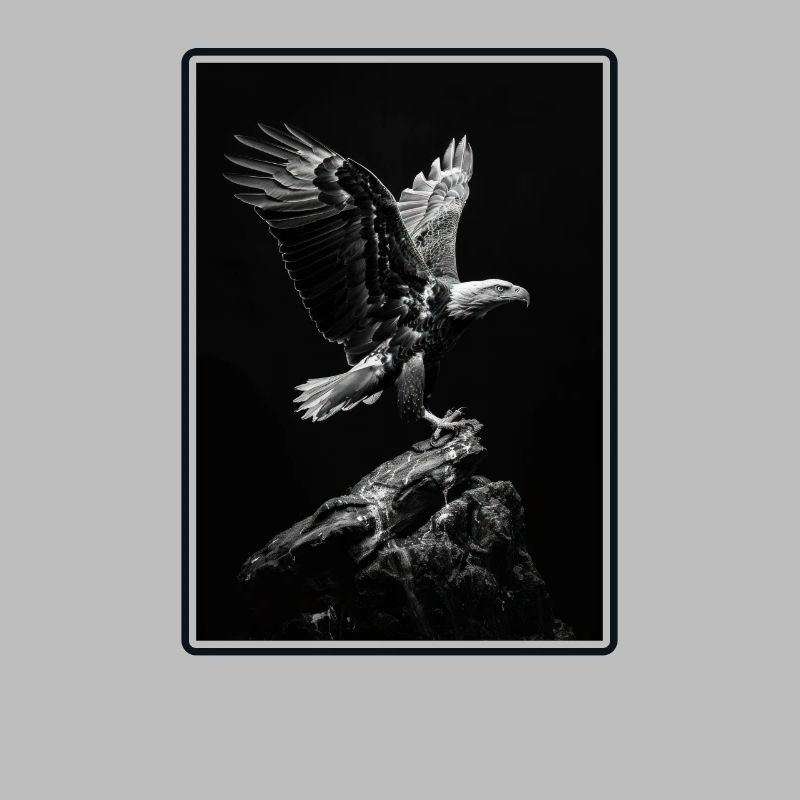 Bald Eagle Weißkopfseeadler