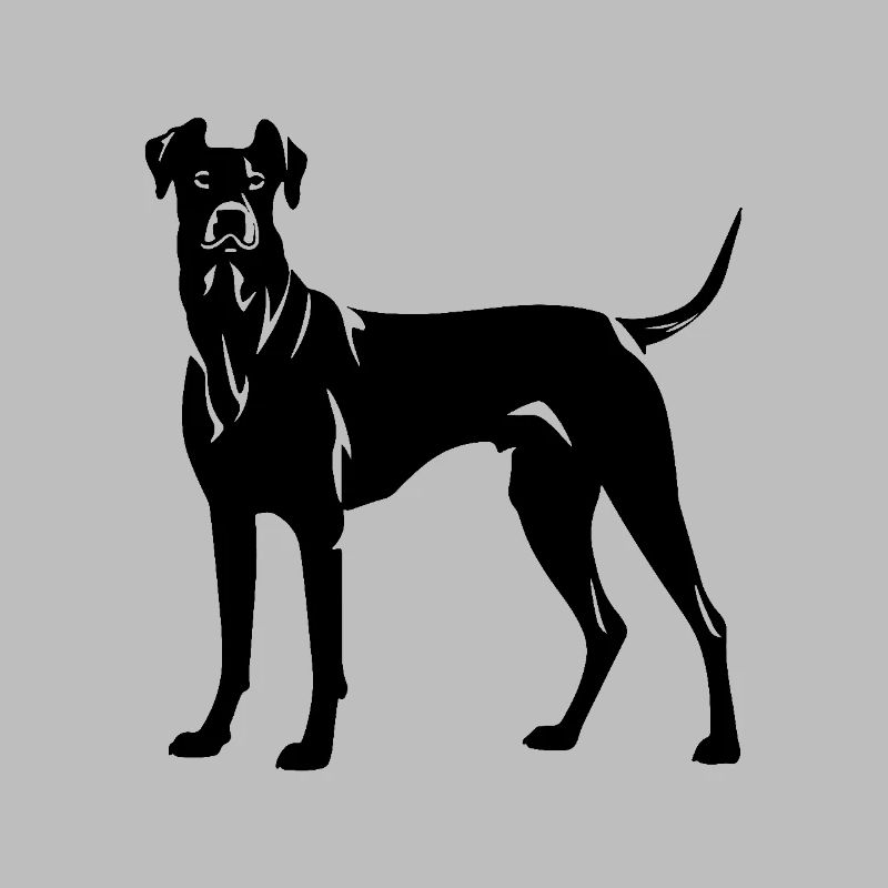 Great Dane Hund