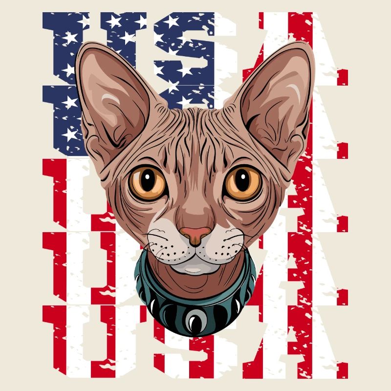 USA Chat Sphynx devant le drapeau